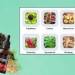 The 19th and 20th centuries witnessed unprecedented advancements