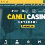 The Allure and Impact of Casinos: A Fascinating World of Entertainment